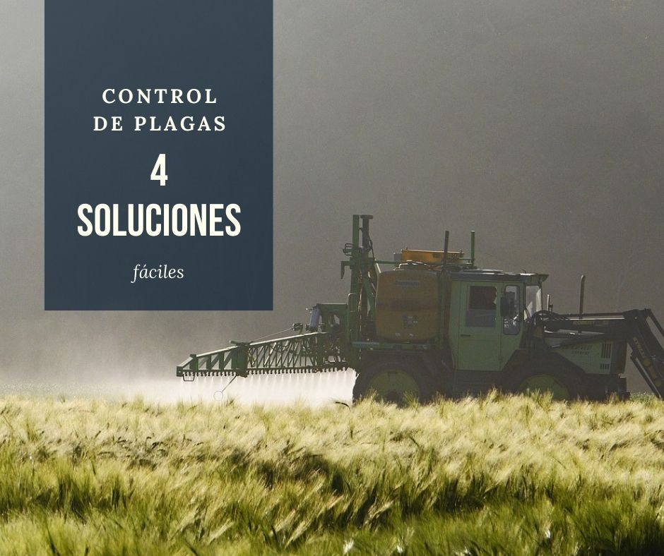 Soluciones a 4 problemas habituales en el control de plagas agrícolas