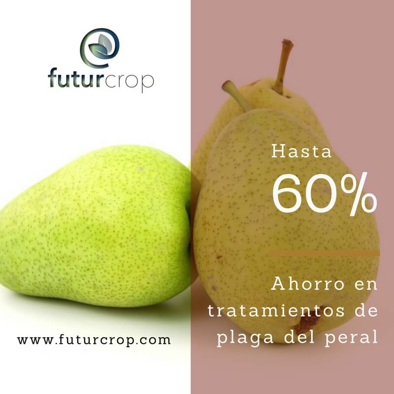 Ahorro de hasta el 60% en tratamientos fitosanitarios de las principales plagas del peral
