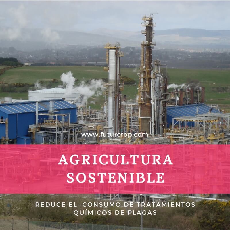 ¿Cómo reducir el uso de insecticidas químicos en el control de plagas?