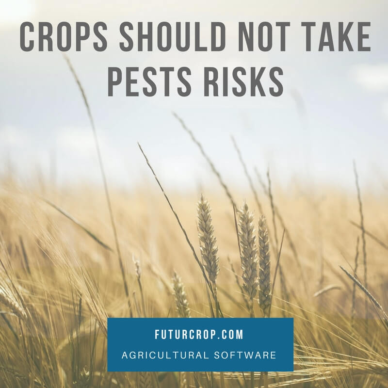 Pest Control Forecasting and Control Warning Systems