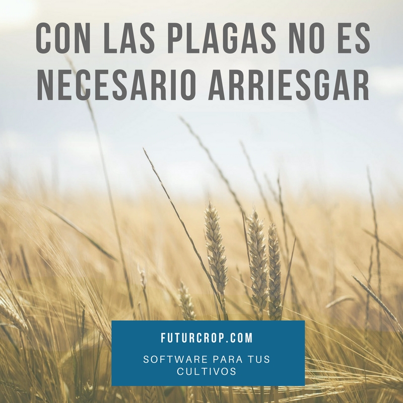 FuturCrop mejora el monitoreo de plagas y la eficacia de sus tratamientos.