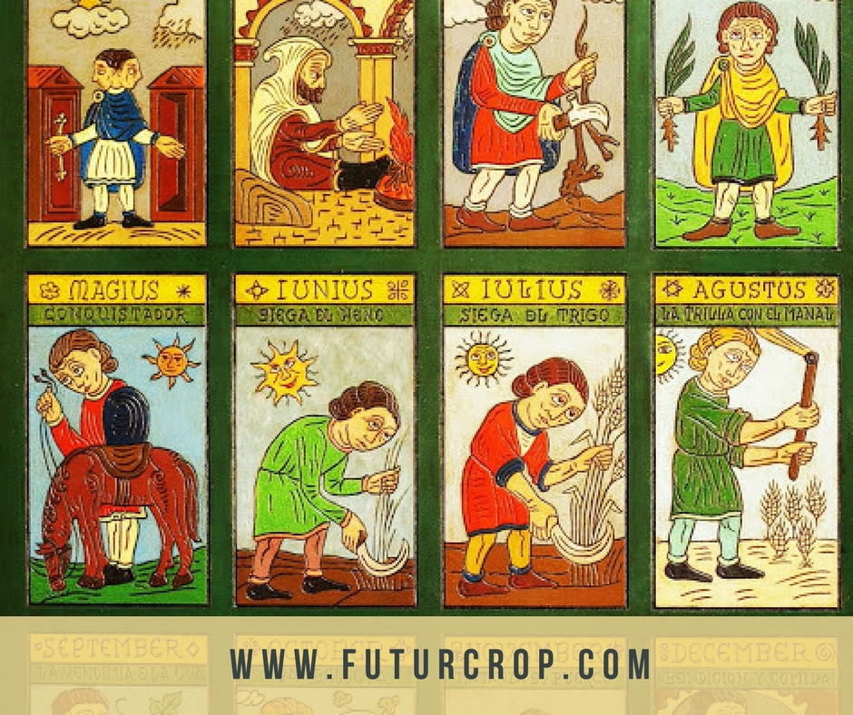 Cómo las plantas y los insectos y responden al cambio climático. La fenología como bioindicador.