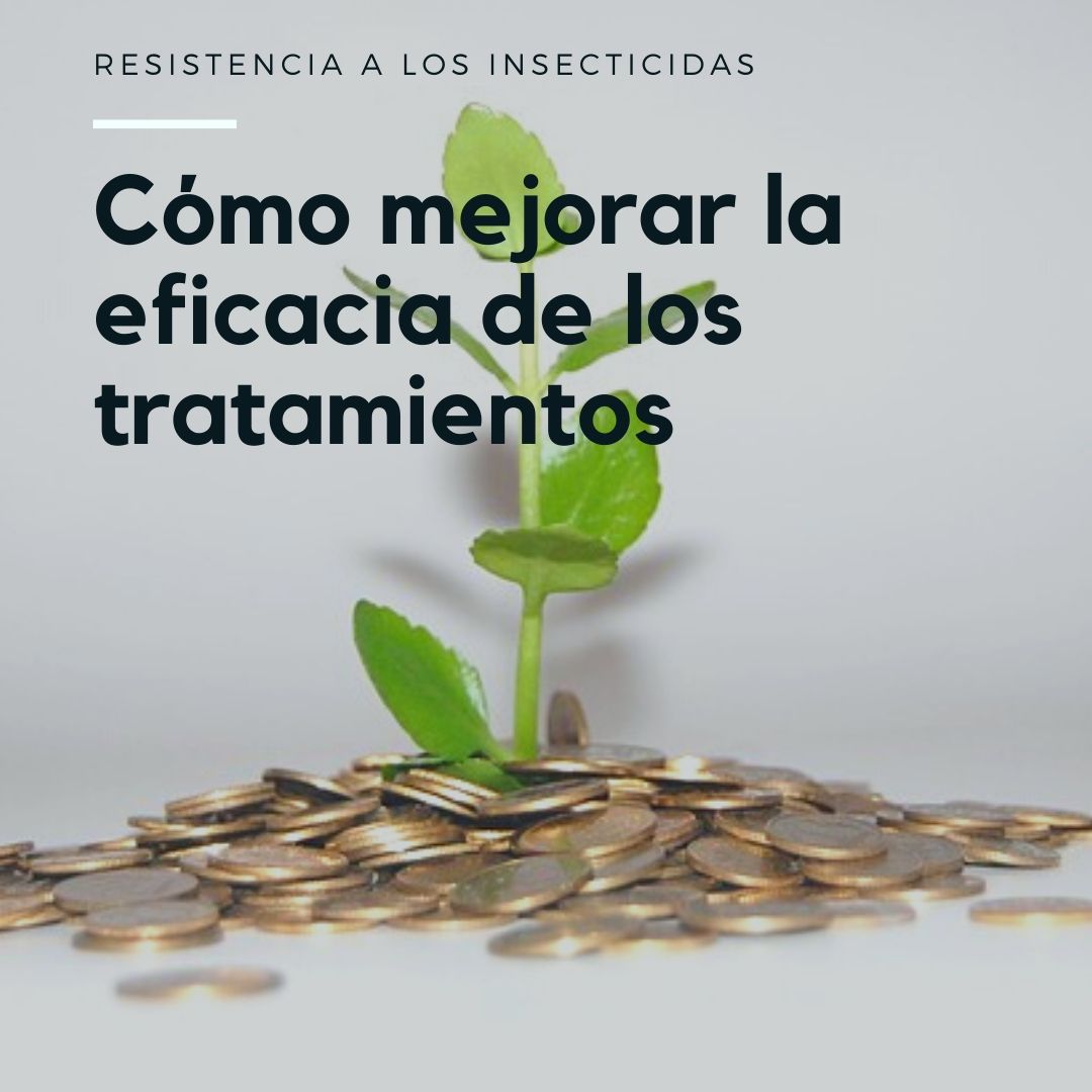 Programas informáticos para realizar tratamientos de plagas eficientes