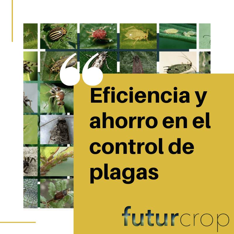Eficiencia y ahorro en el control de plagas
