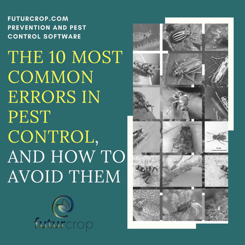 The 10 most common errors in pest control