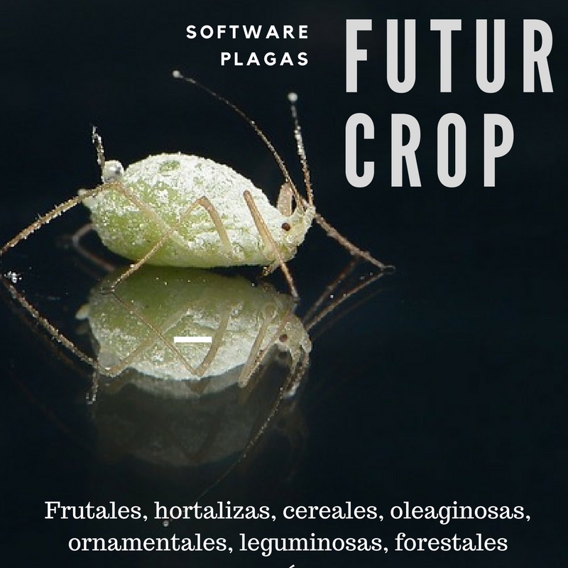 Tratamiento de los pulgones mediante FuturCrop