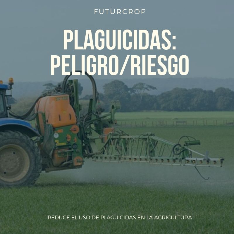 Pesticidas cancerígenos