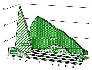 La importancia de prevenir la aparición de las plagas agrícolas