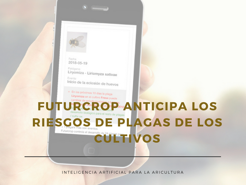 Cambio climático y daños colaterales de los pesticidas. Estrategias de supervivencia de las plagas agrícolas y forestales