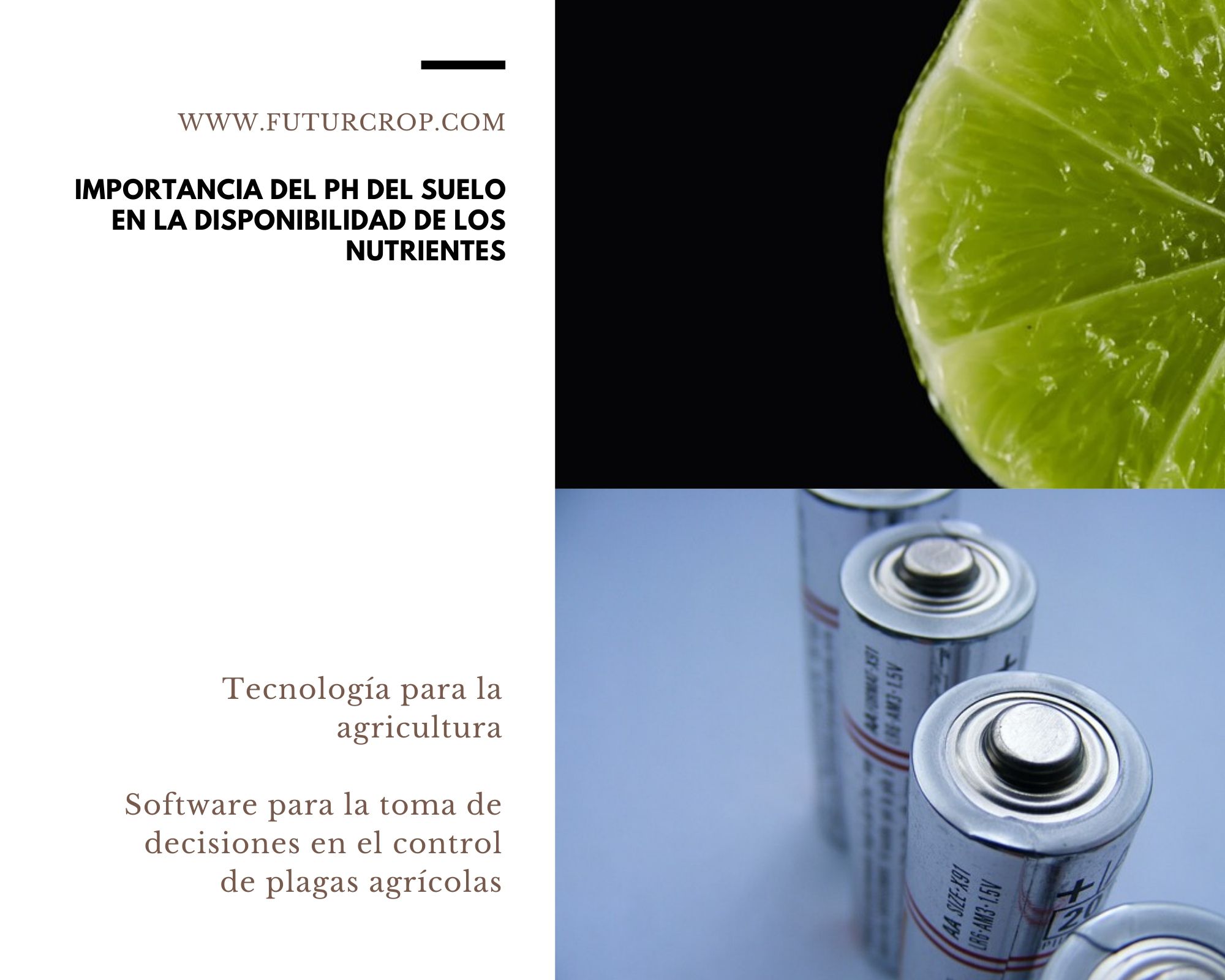 Importancia del pH del suelo en la disponibilidad de los nutrientes