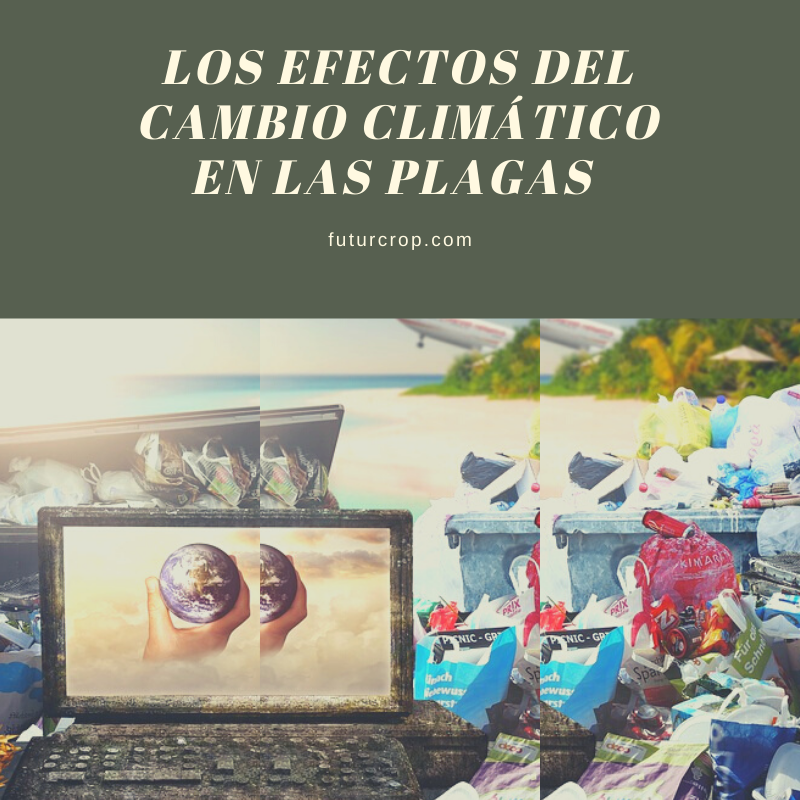 Los efectos del Cambio Climático en las plagas