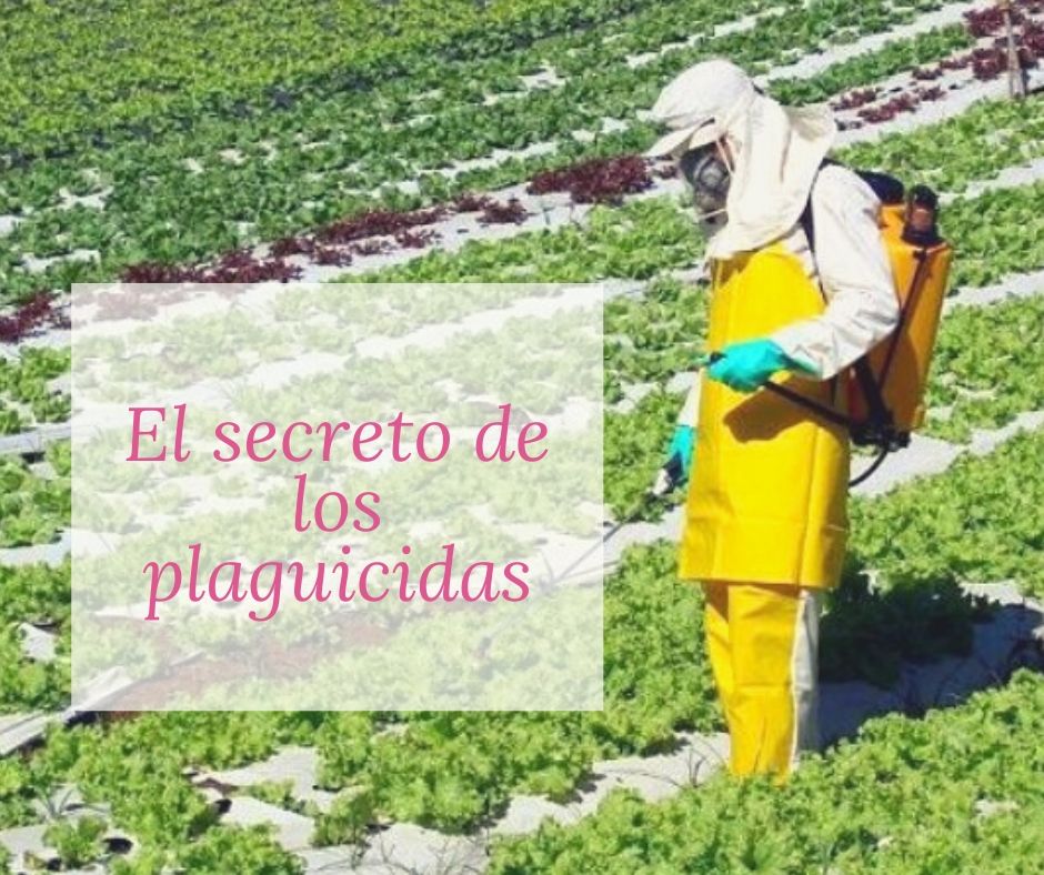 El secreto de los plaguicidas