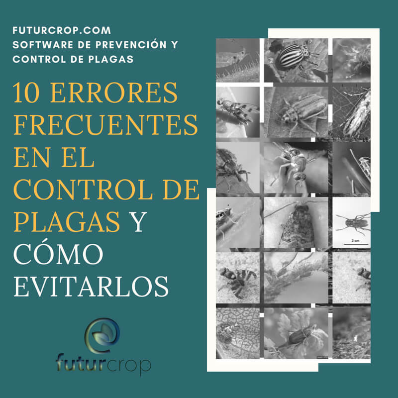 Los 10 errores más frecuentes en el control de plagas agrícolas