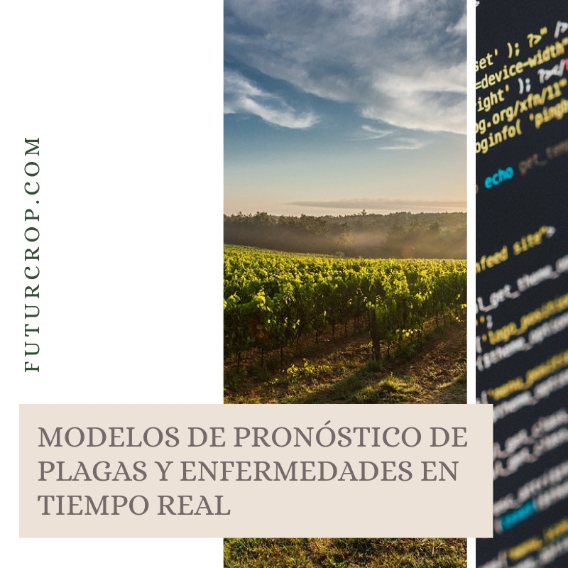 Modelos de pronóstico de plagas y enfermedades agrícolas en tiempo real