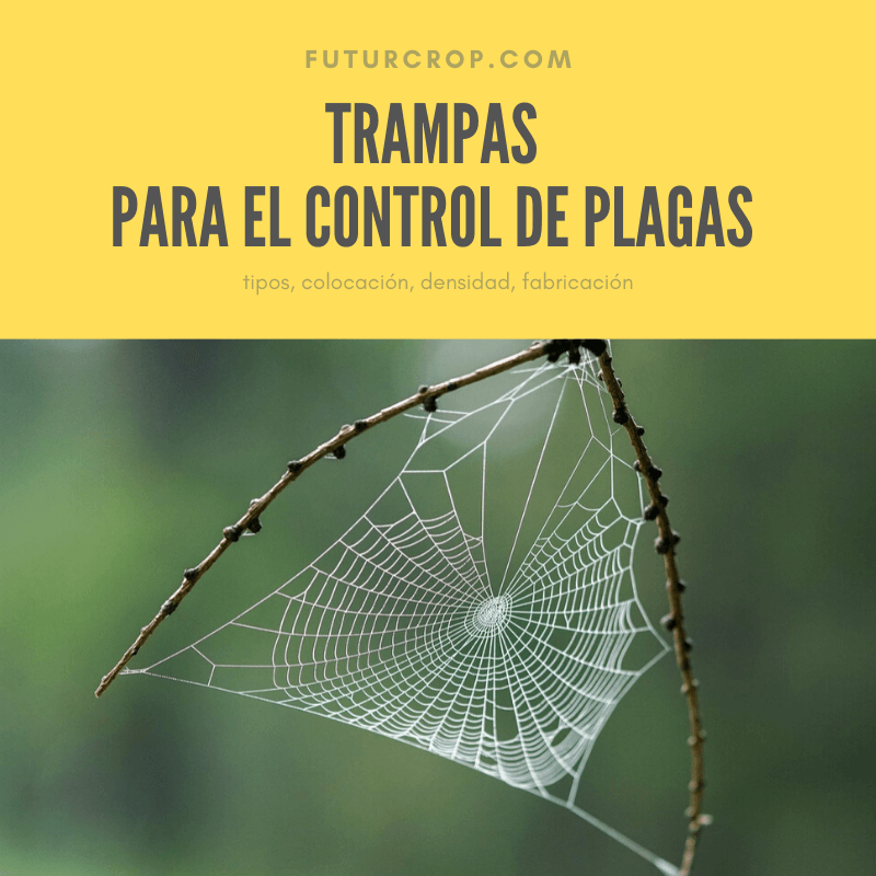 Trampas para el control de plagas