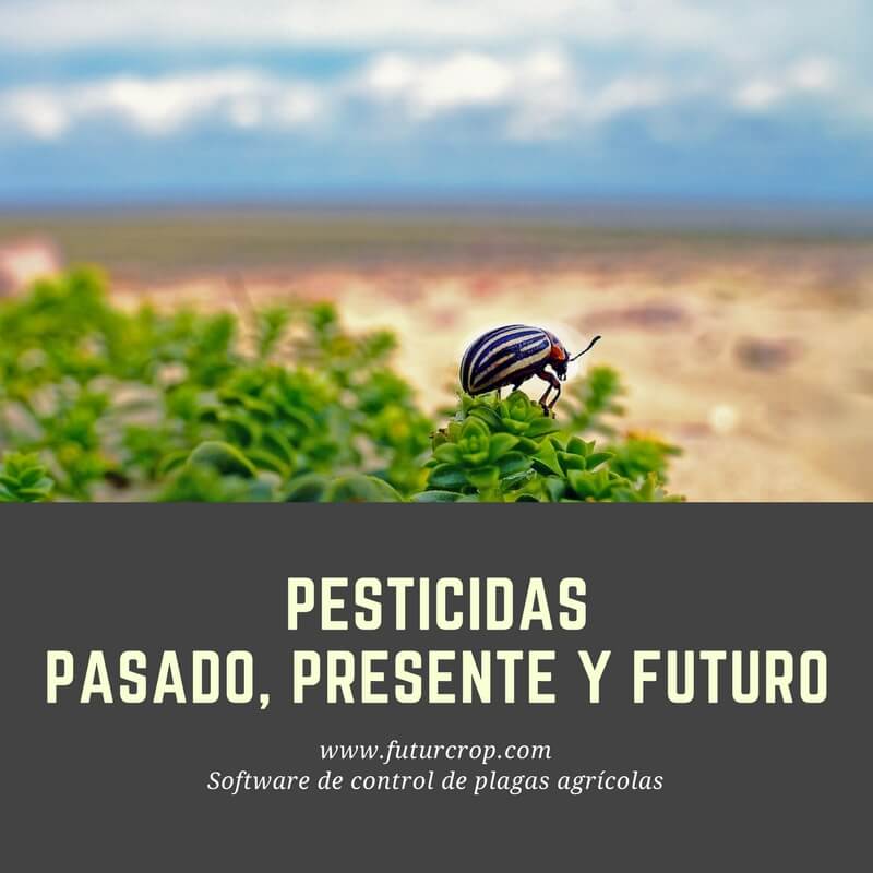 Pasado, presente y futuro de la utilización de insecticidas químicos en la agricultura