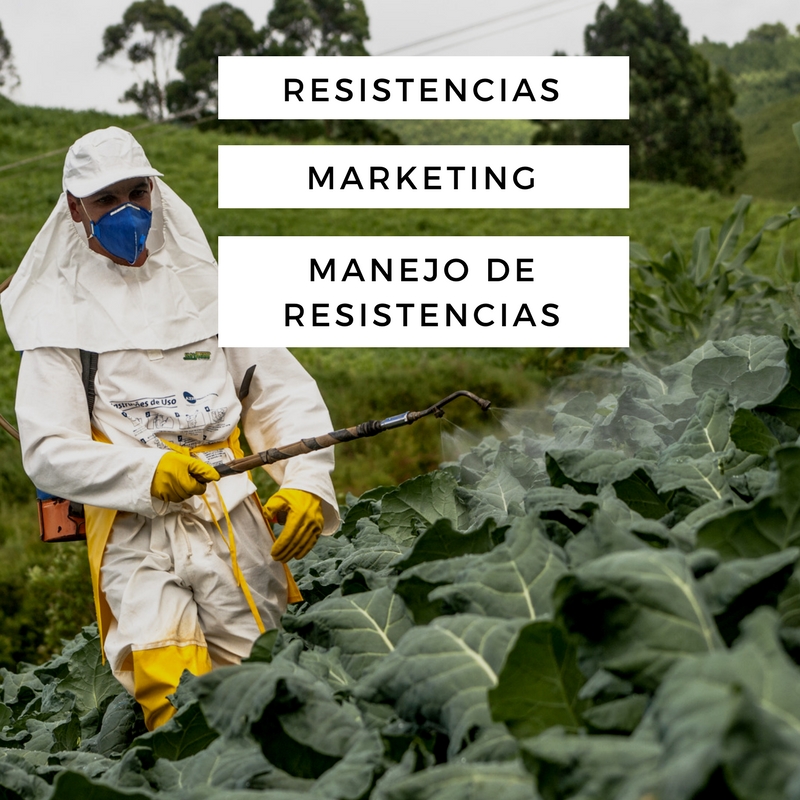 Pesticidas que pierden eficacia, el negocio de los laboratorios, y no hay soluciones sencillas